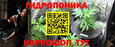 apvp Кунгур